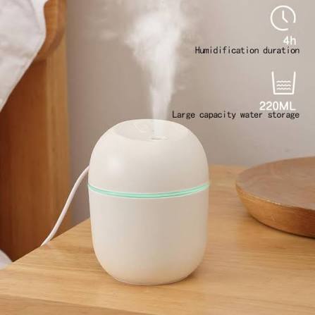 Mini Cute Desktop RGB Air Humidifier (220 ml)